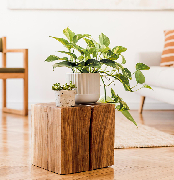 Indoor wellness space with natural light, wooden table, and potted plants. Symbolises calm, simplicity, and grounded support in personalised wellness coaching for overwhelmed women.