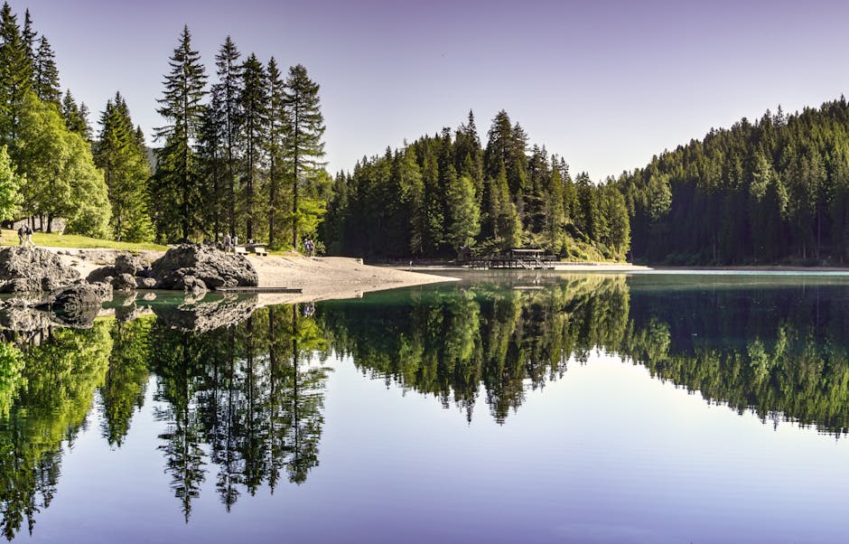 Tranquil summer view of a forest lake with clear reflections and evergreen trees.